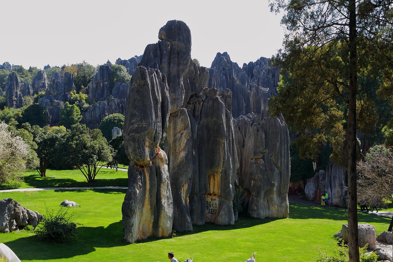 石林绿意 · Stone Forest Greens