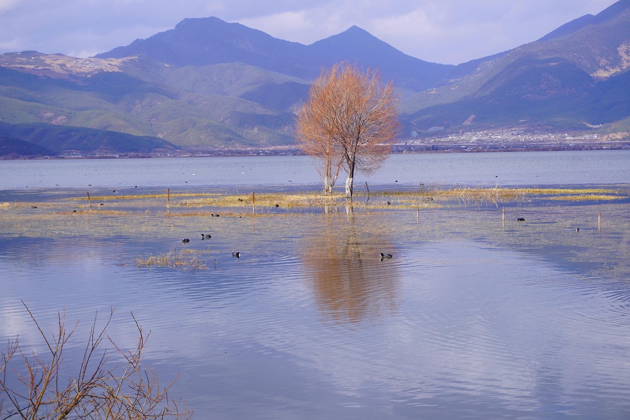 苍山 · Cangshan Mountains