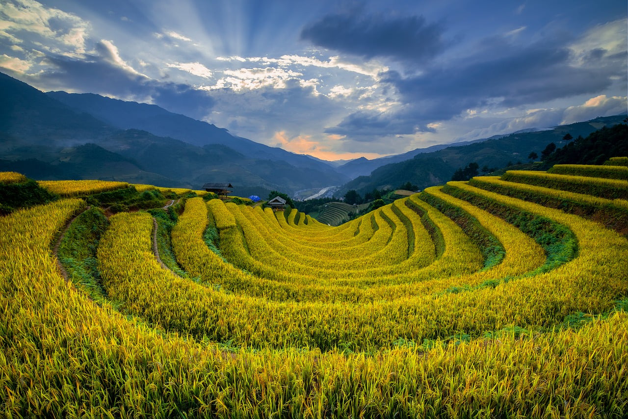 龙脊梯田 · Longji Rice Terraces